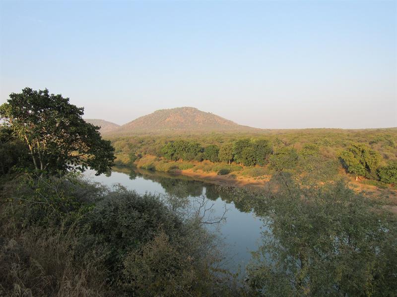 Kuno river flowing through Kuno National Park